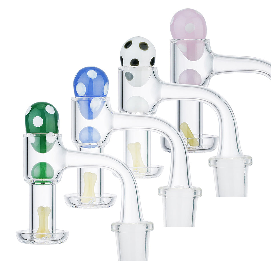 (BANGER SET) EGG BONE SPINNING SET 14mm - BLUE