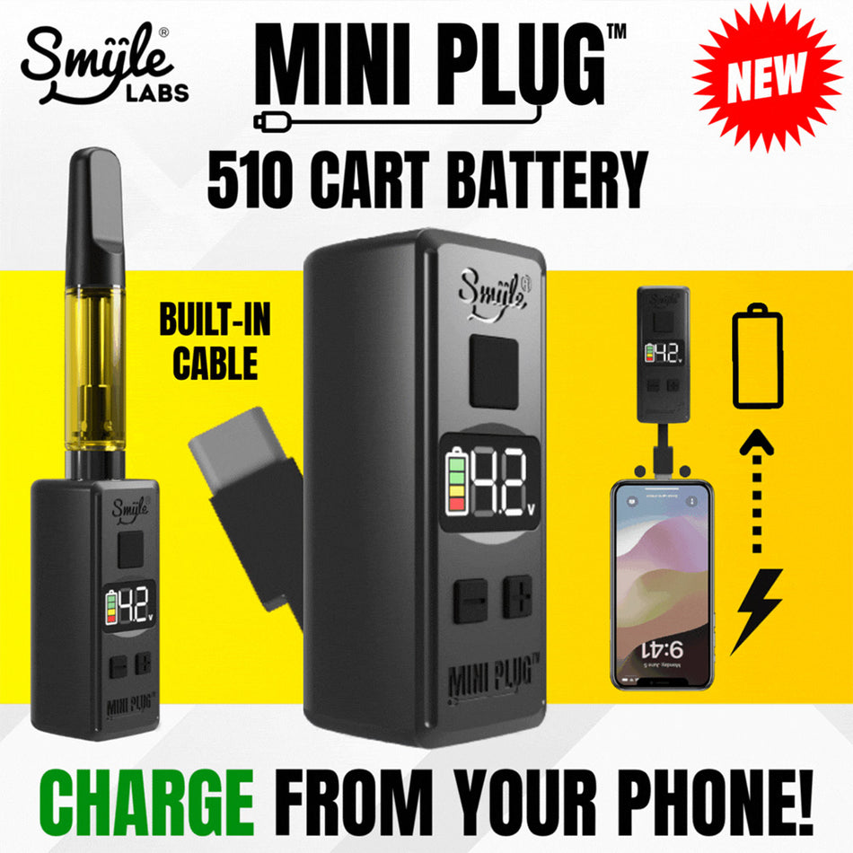(BATTERY) SMYLE LAB MINI PLUG BATTERY 20CT