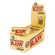 (TIP) RAW PERFORATED GUMMED TIPS - 24CT